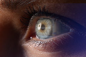 O que o investidor precisa enxergar além do faturamento ao escolher uma franquia